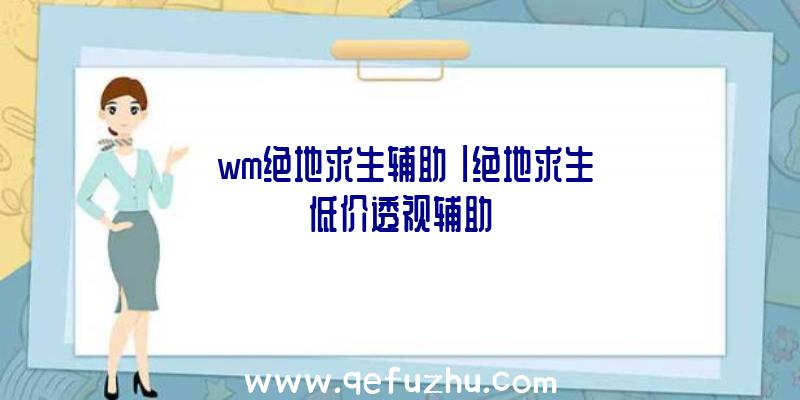 「wm绝地求生辅助」|绝地求生低价透视辅助